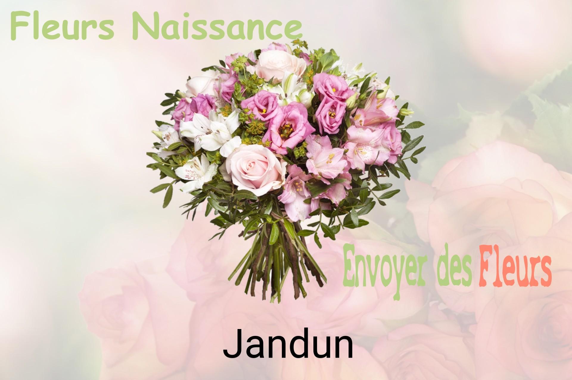 Bouquet de fleurs de naissance livré à Jandun
